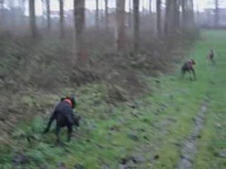 Sortie nov des chiens_0001