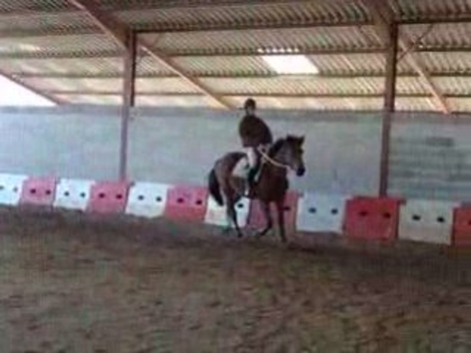 Debourrage Soierie le trot