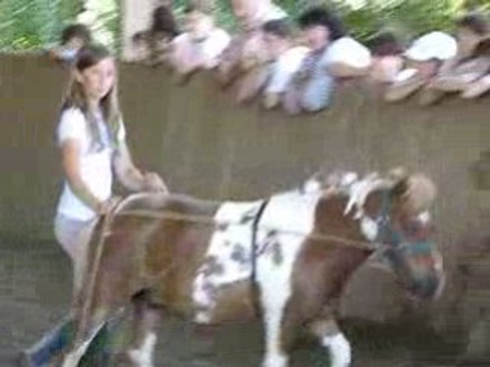 Nougat et moi. Anna et Vanille