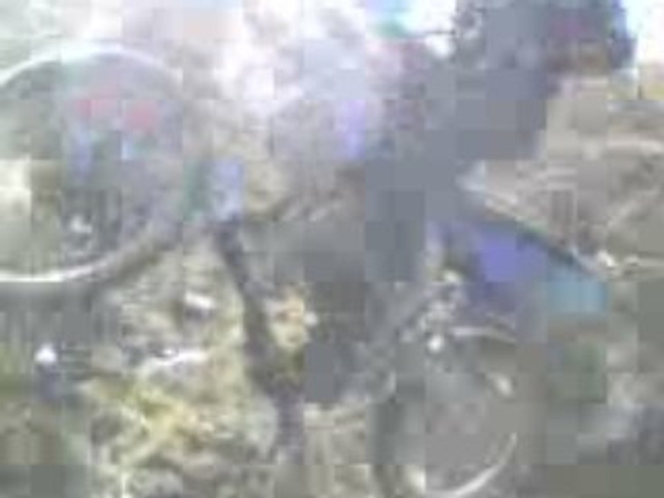diego moto cross