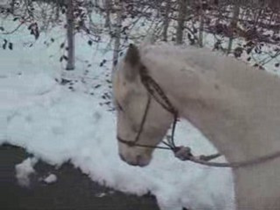 Neige_0003