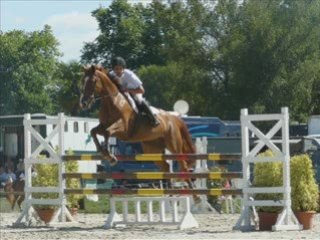 saison 2008 amateur & pro