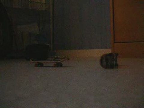 fingerboard : cours 1 le ollie