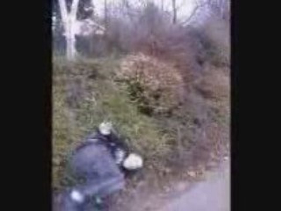 les fou de st b
