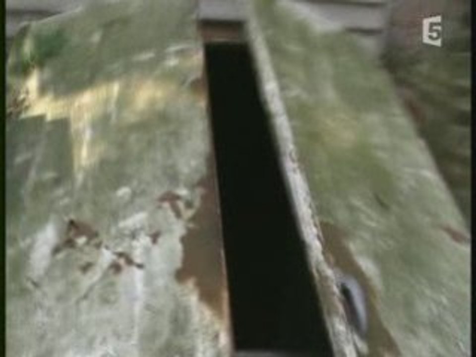 Aux frontières du surnaturel ,les fantomes  4  5