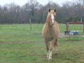 May travail au sol .