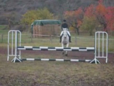 obstacle galop 6 avec paiilette photo + viideo !!