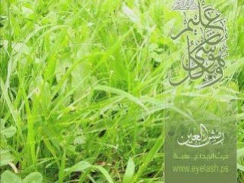 Hakan BAYRAKTAR, Nefs Elinden, Aşk ve Gül