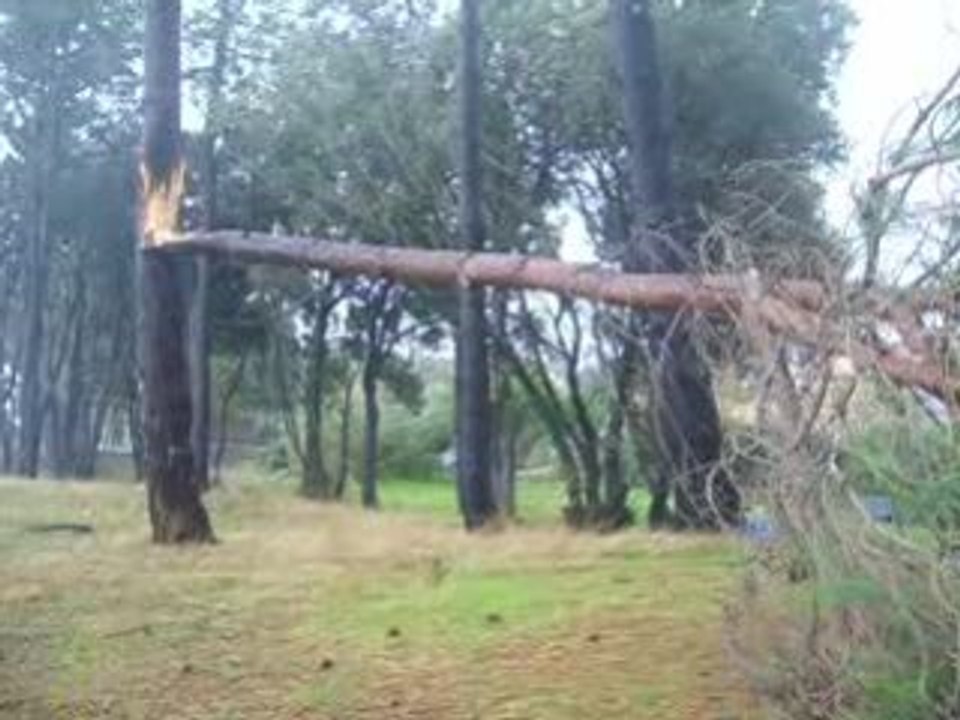 Tempete_vanga_moriani_