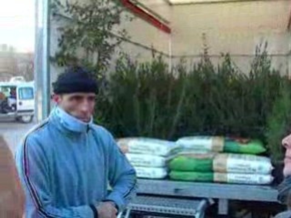 Distribution des arbres, Parc Naturel Régional de Camargue