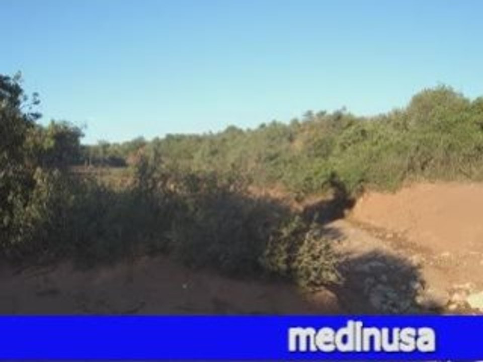 cheb khaled-roho liha-1ere version