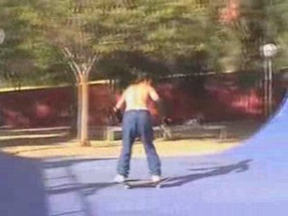 Skatelow