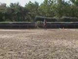 Entraînement dressage Astérix - Club Elite Championnats 06