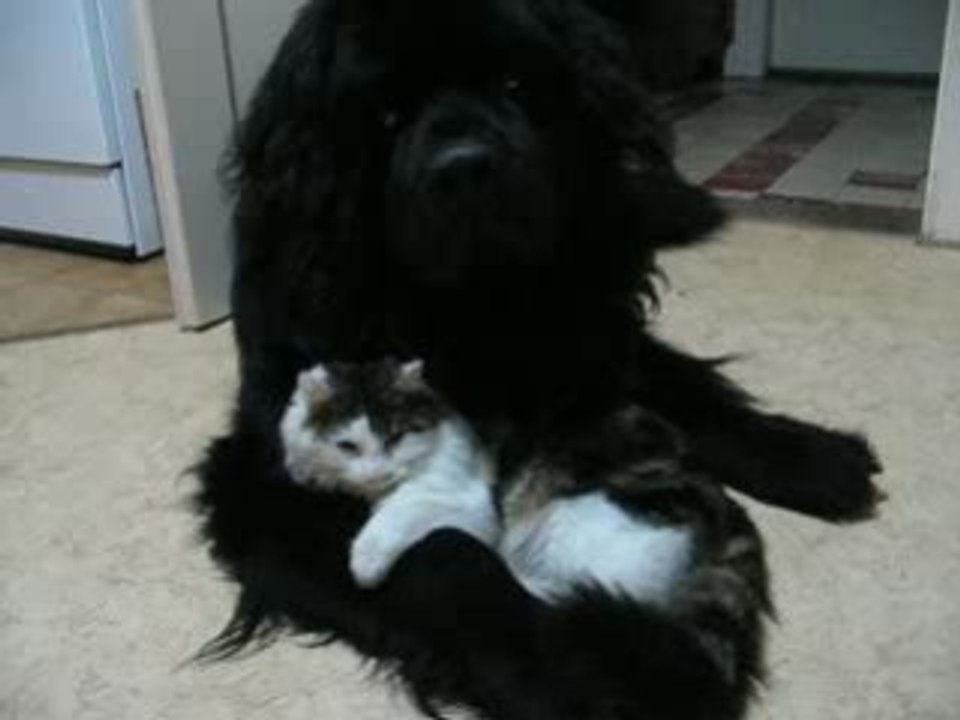 Ulysse et Doussie