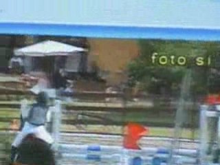 Brutus the best remix