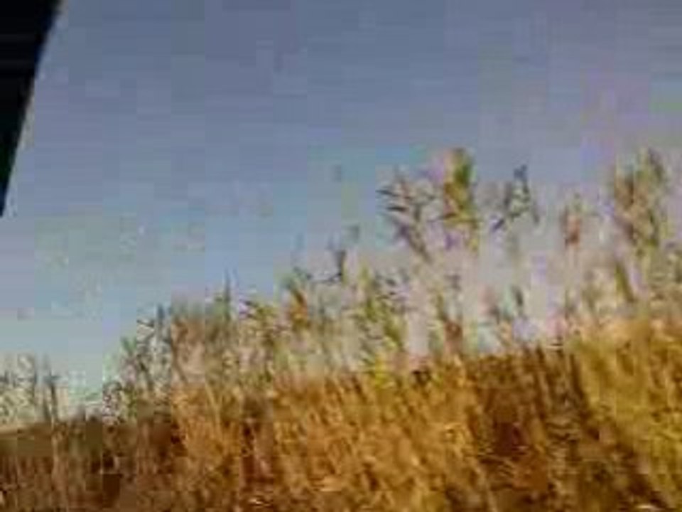 Retour teuf