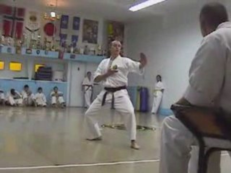 Black Belt Exam: Basic Technics