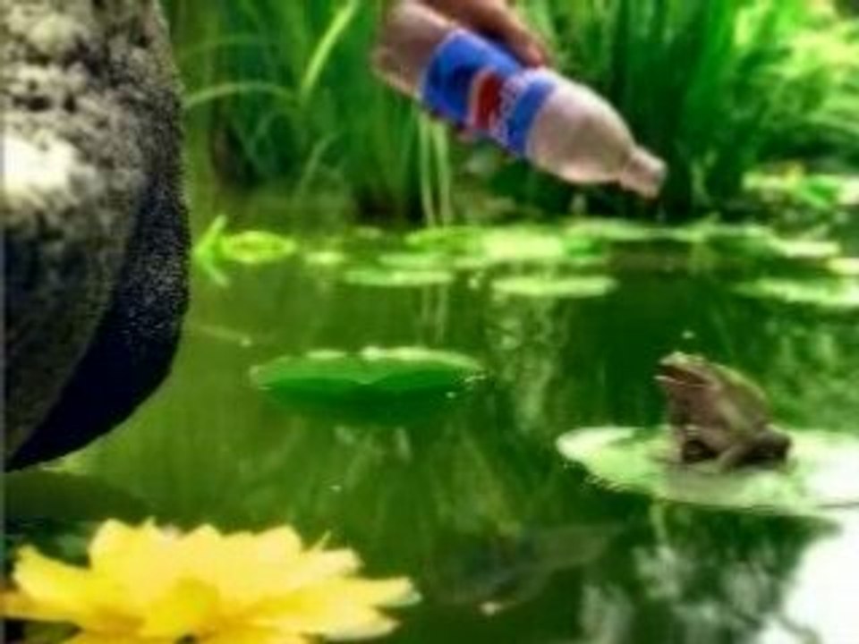 Anuncio Pepsi Ranas