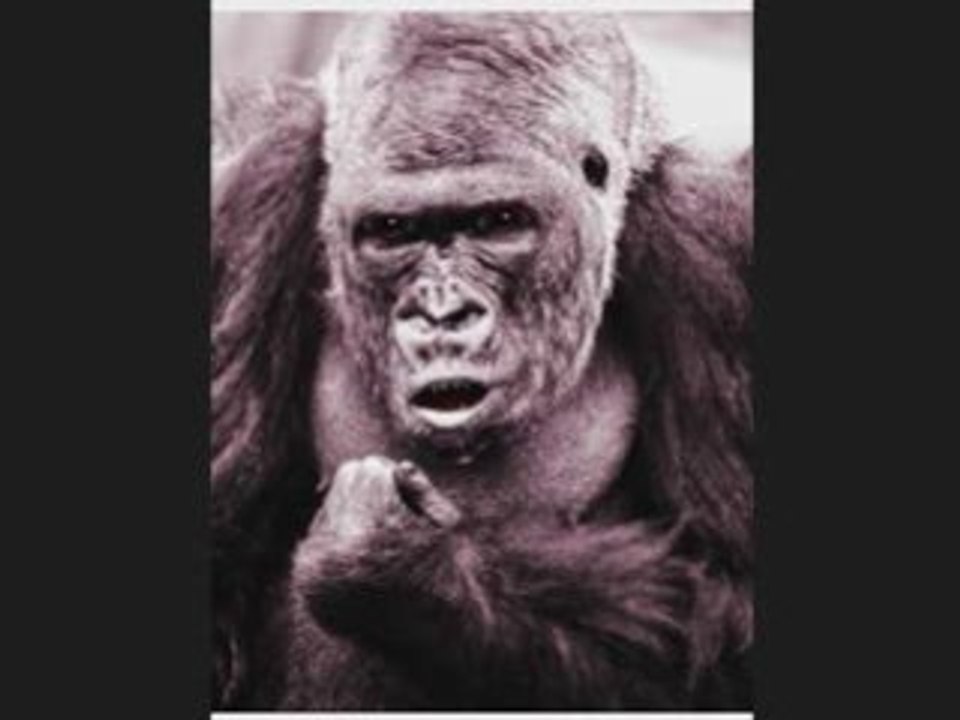 Marijuana Potency with the Guerrilla Grower Act 2