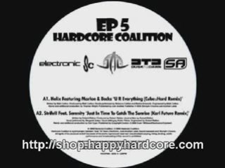 Darwin - Ravin Retro Hardcore Coalition EP 5 HCEP005 records