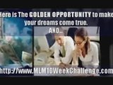 MLM, Network Marketing And Attraction Marketing Training