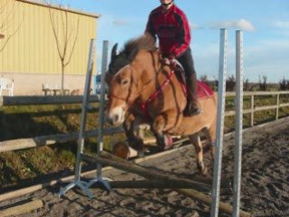 mes  debut en cso avec malice