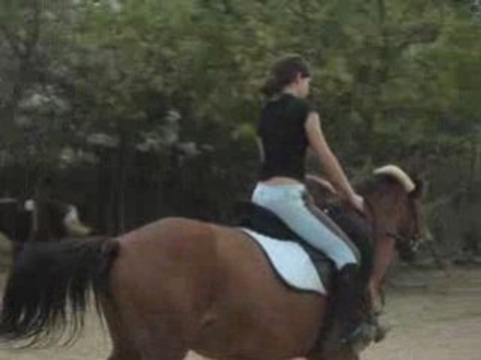 Andrea et Caline