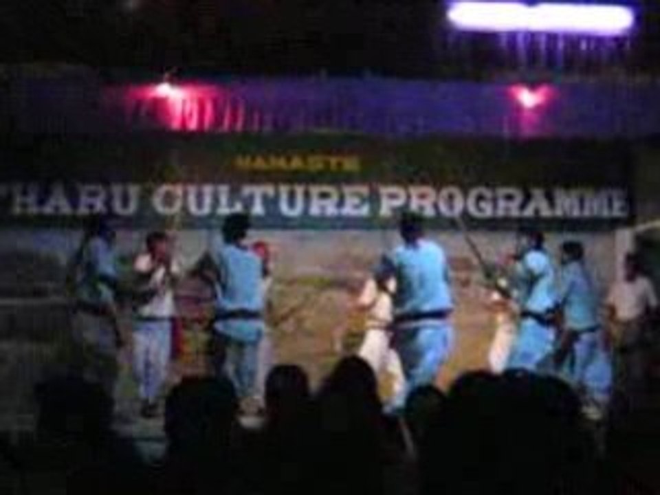 Danse folklorique 1 MVI_5475