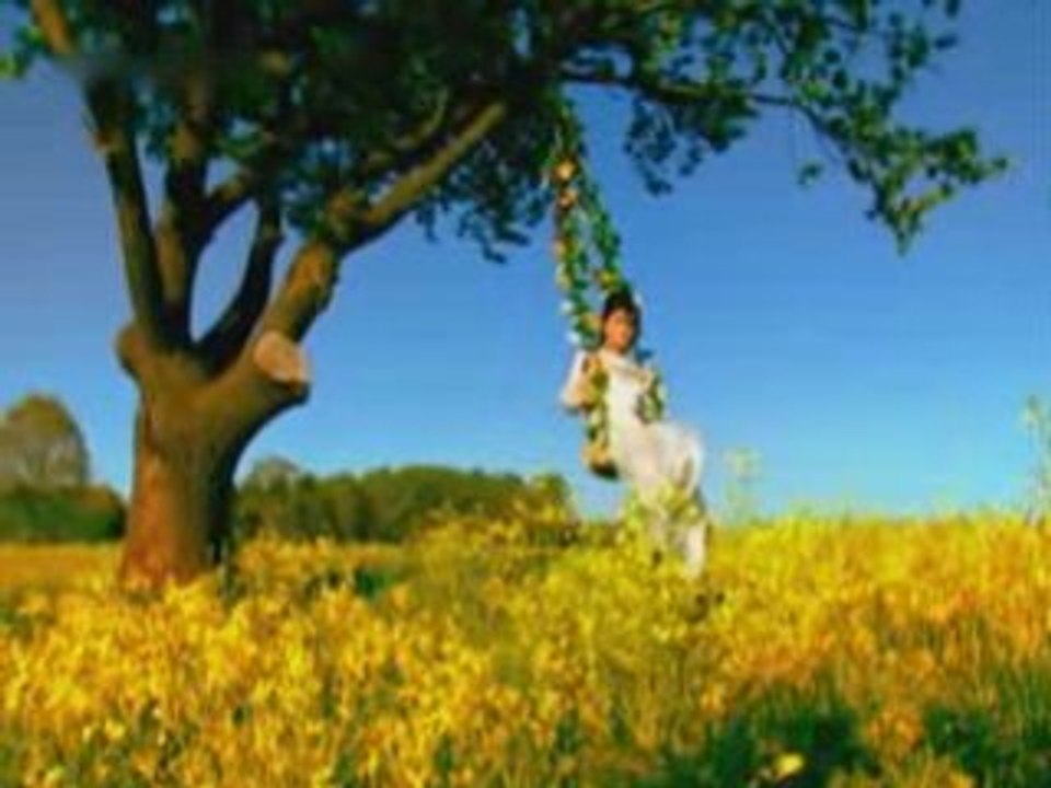 Zara-Sarmasik Gulleri