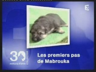 Mabrouka "30 millions d'amis".