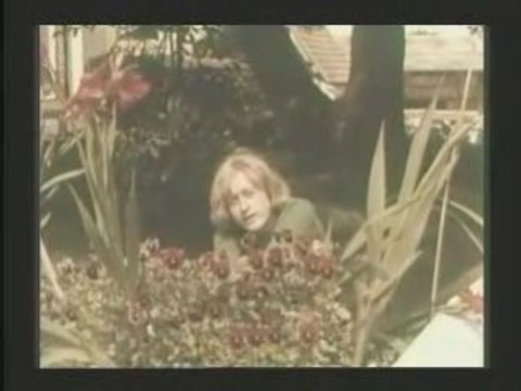 Michel Polnareff - Love Me Please Love Me