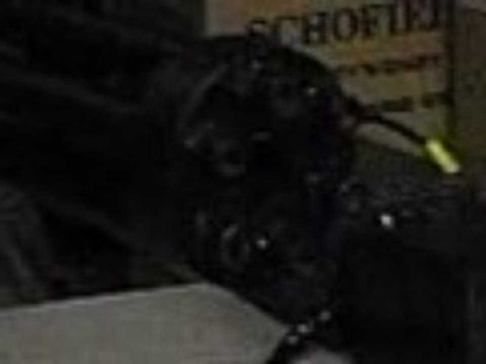 M134 Airsoft CAW ralenti