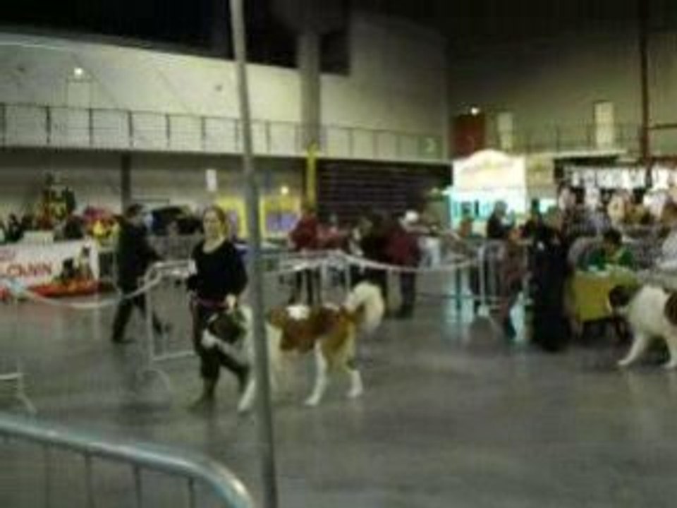 Alaska sur le ring.