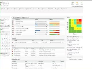 Sharing Microsoft Project