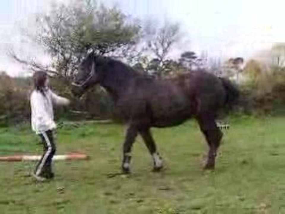 DSCF5609