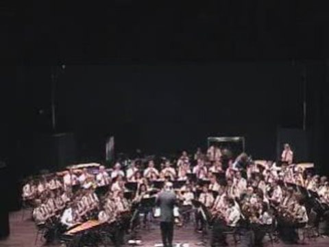 Swingair Bumble Bee - Harmonie Municipale de Montigny en G