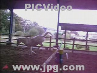 Un montage de ma chérie Toupie