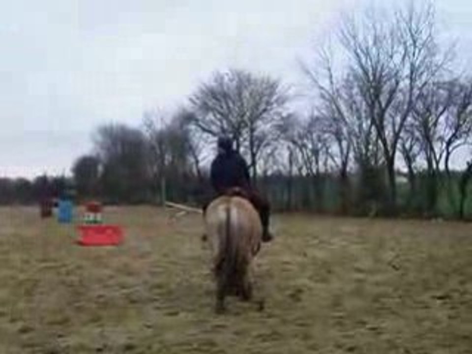 IMGP0750