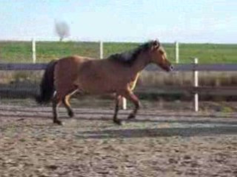 Tagada Nora et cheyenne