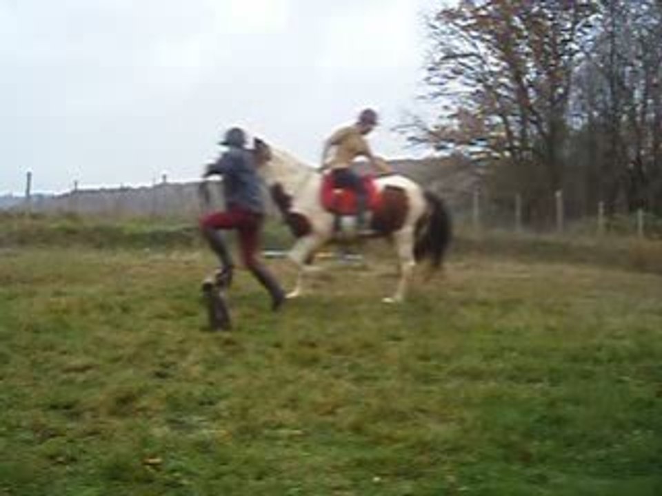 chute de laulau