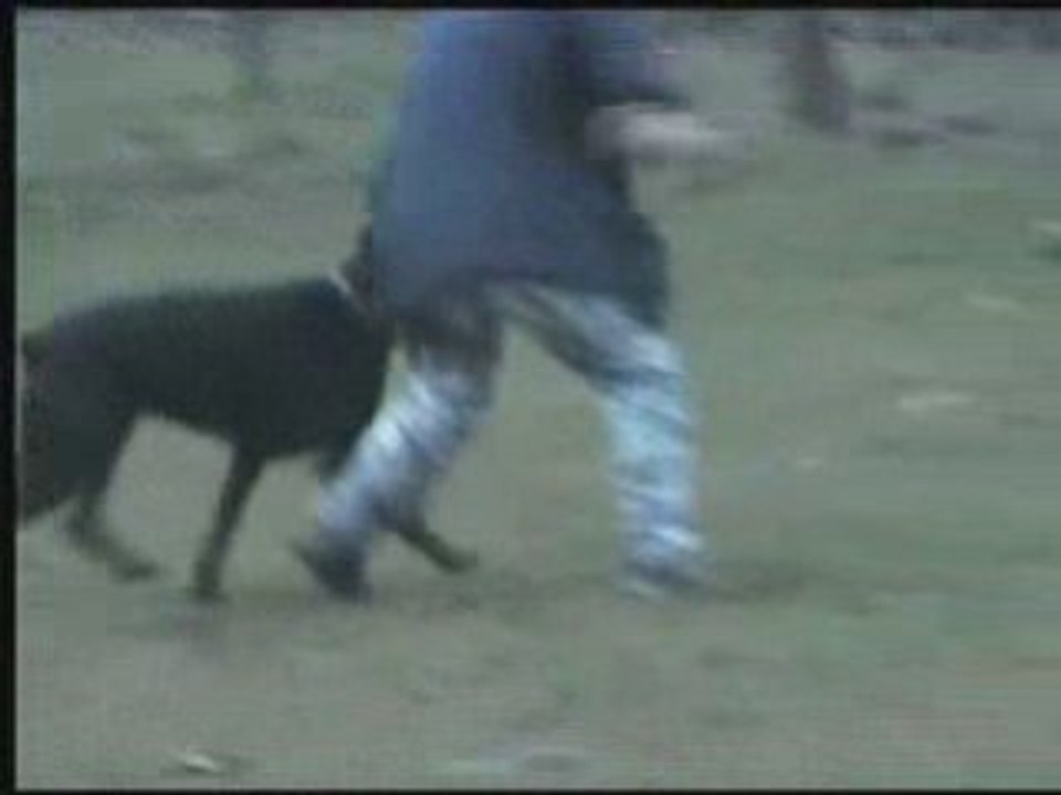 Daicko entrainement obé 8 mois