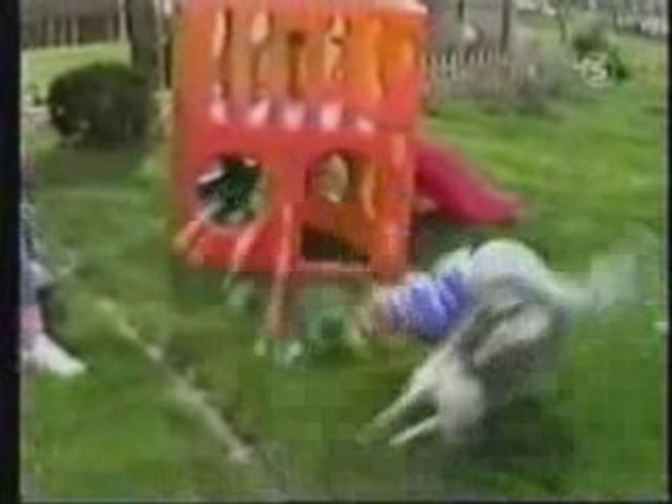 vidéo drole