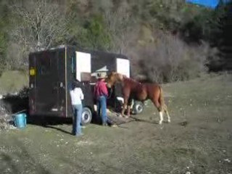 Quiqui et le Van