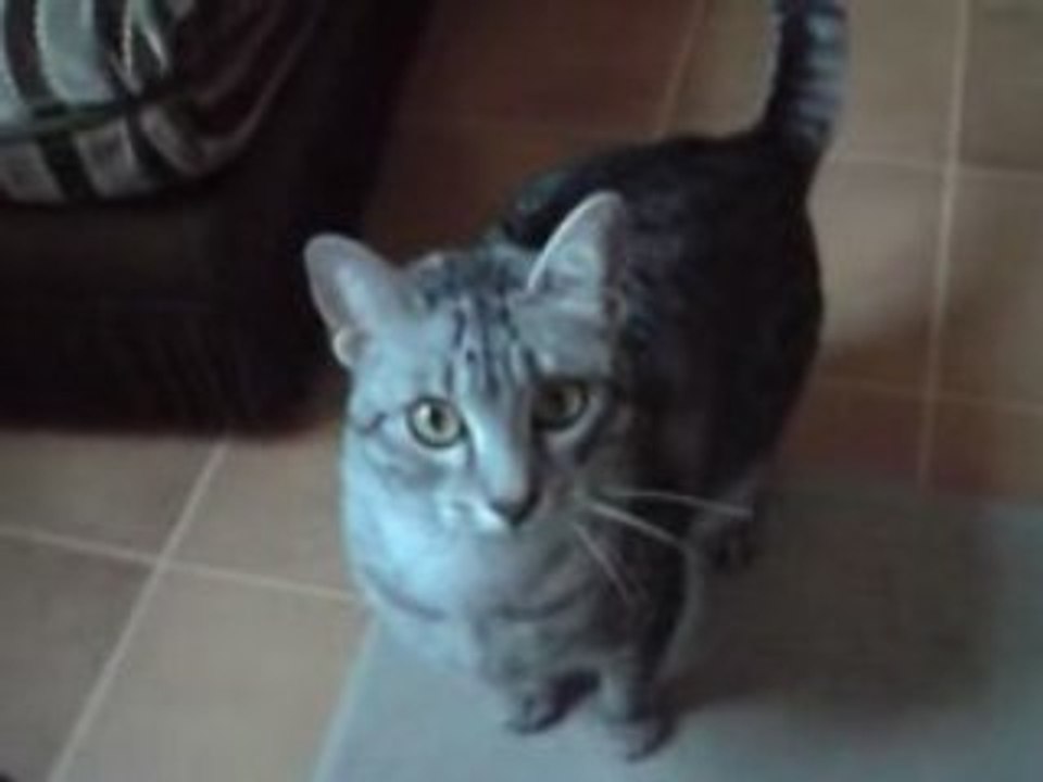 rrrrrrrrrrrrrrrrr² (3 ans plus tard)