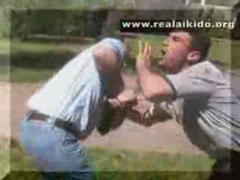 exebitions d'aikido en plein air , technick superieure