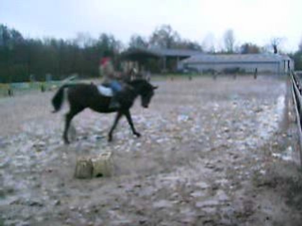 plat galop