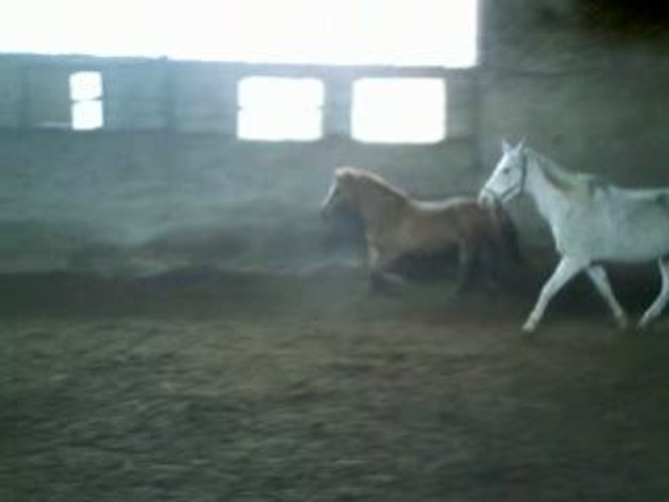 Bouudinnou