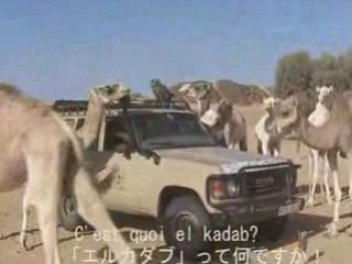 El kadab