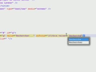 Tutoriel Vidéo : Personnaliser formulaire