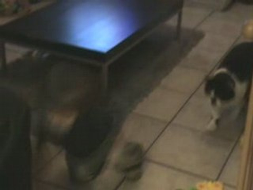 20081201190128